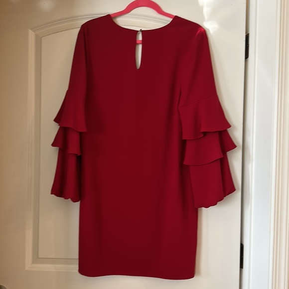 red shift dress - Picture 4 of 6